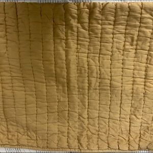 2 Pottery Barn Quilted shams